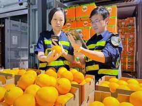 1〜7月に150以上の貿易相手からの輸入がプラス成長―中国