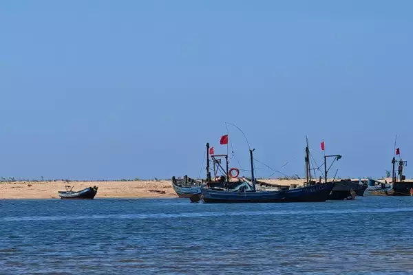 「中国でアジア最大の海底金鉱が見つかる―中国メディア」の画像