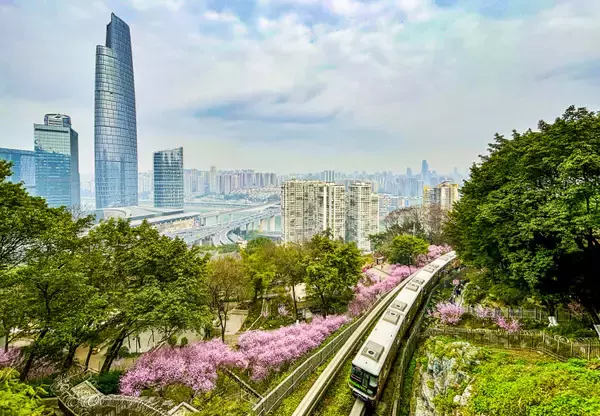 「今年も重慶で「春に向かう列車」が運行―中国」の画像
