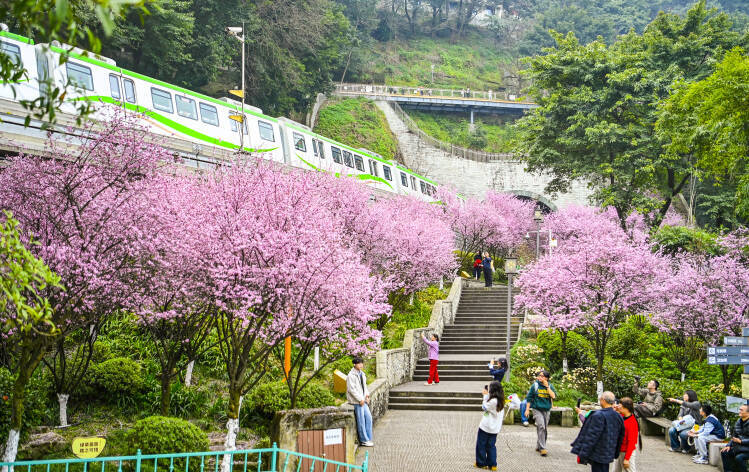 今年も重慶で「春に向かう列車」が運行―中国