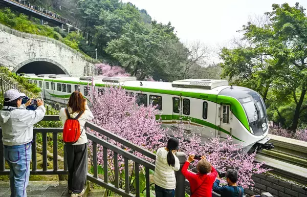 「今年も重慶で「春に向かう列車」が運行―中国」の画像