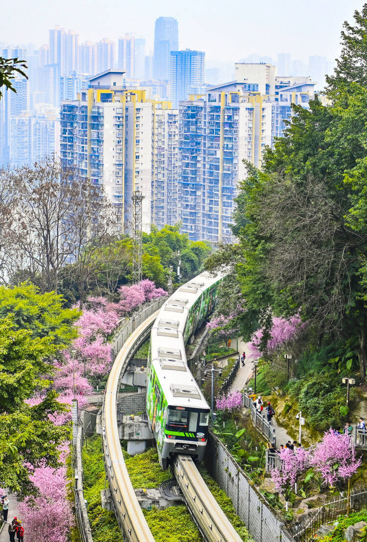 今年も重慶で「春に向かう列車」が運行―中国
