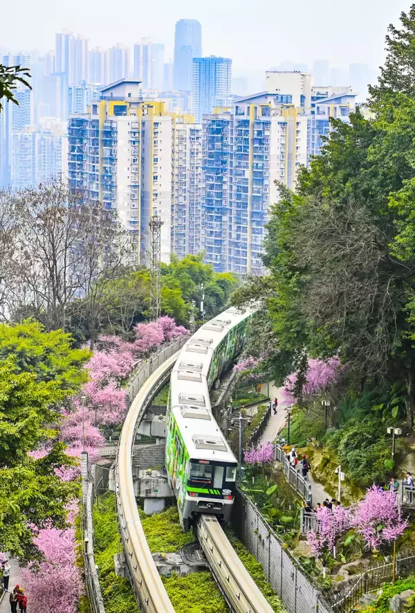 「今年も重慶で「春に向かう列車」が運行―中国」の画像