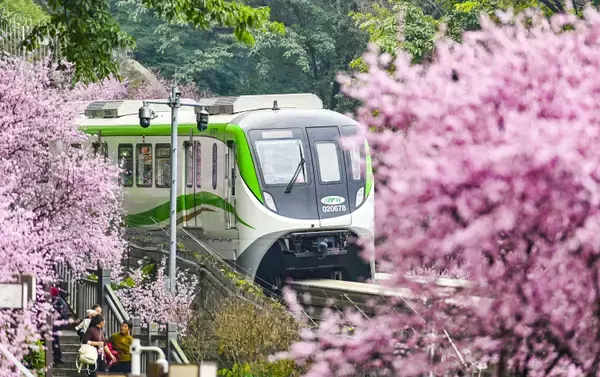 「今年も重慶で「春に向かう列車」が運行―中国」の画像
