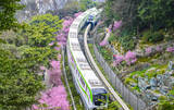 「今年も重慶で「春に向かう列車」が運行―中国」の画像8