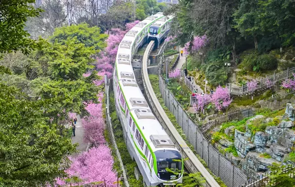 「今年も重慶で「春に向かう列車」が運行―中国」の画像