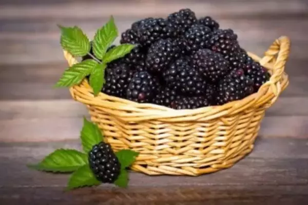 第3世代フルーツが市場に登場、果物の「黒いダイヤ」ブラックベリーに注目―中国