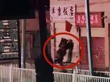「旧暦大みそかの夜に2頭のクマが飲食店に侵入、店主は帰省中で不在―中国」の画像1