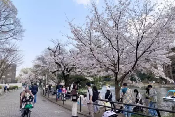 「日本より東南アジアがいい」との主張に反論続々＝「日本の良さは…」―台湾メディア