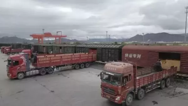 青蔵鉄道全線開業20年、貨物輸送量が累計1億トン突破―中国