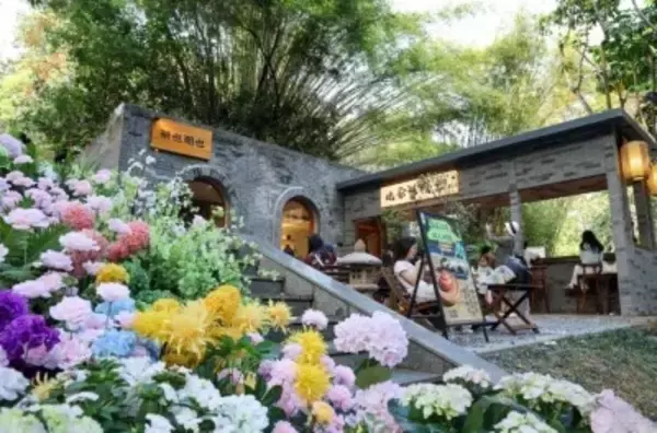 公園で町おこし、経済に新たな活力を放出する「公園プラス」―広東省深セン市