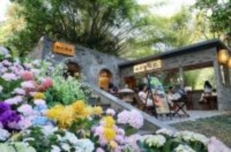 公園で町おこし、経済に新たな活力を放出する「公園プラス」―広東省深セン市