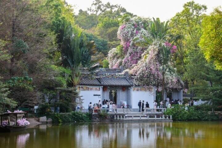 公園で町おこし、経済に新たな活力を放出する「公園プラス」―広東省深セン市