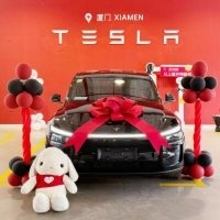 シャオミ、テスラ、BYDが相次ぎ価格調整、EV市場は値上がり局面へ―中国メディア