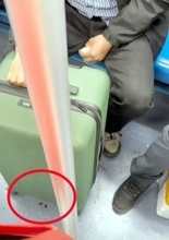 地下鉄で男性乗客のスーツケースの底から滲み出る血のようなものの正体は？―中国メディア