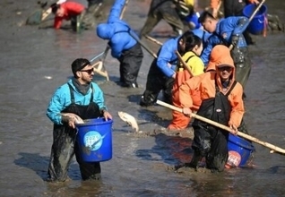 泥まみれで魚を捕まえる、西渓湿地の「干塘節」開催―浙江省杭州市