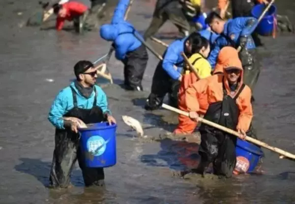 泥まみれで魚を捕まえる、西渓湿地の「干塘節」開催―浙江省杭州市
