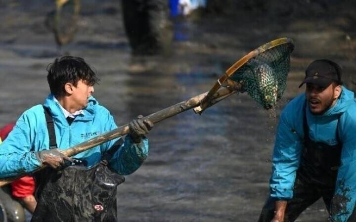 泥まみれで魚を捕まえる、西渓湿地の「干塘節」開催―浙江省杭州市