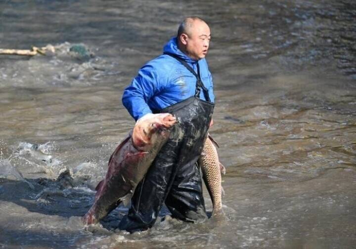 泥まみれで魚を捕まえる、西渓湿地の「干塘節」開催―浙江省杭州市