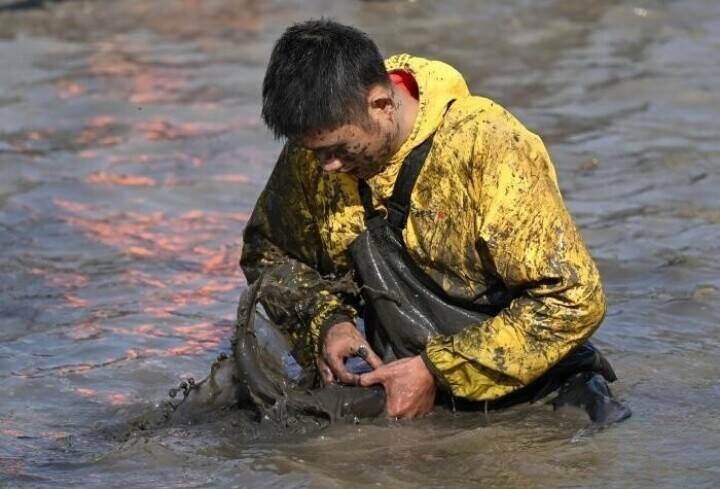 泥まみれで魚を捕まえる、西渓湿地の「干塘節」開催―浙江省杭州市