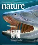 「中国で古生物学の新たな進展、「魚類から人間へ」の進化の空白を埋める」の画像1