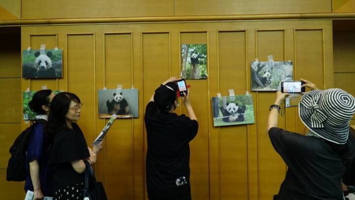 「香香ファミリー誕生会」が東京で開催―中国メディア