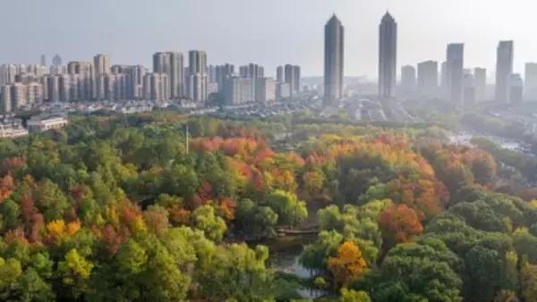 中国の丁薛祥副総理、シンガポールの副首相兼貿易産業相と2国間協力メカニズム会議を主宰へ