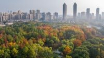 中国の丁薛祥副総理、シンガポールの副首相兼貿易産業相と2国間協力メカニズム会議を主宰へ