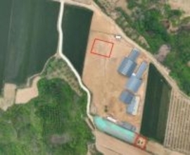 中国北部の山西省で春秋時代初期の墓4基発見