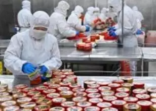 春節控え、キムチ作りに追われる加工企業―山東省平度市