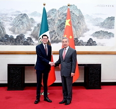 王外交部長、メキシコのベラスコ外相と会談―中国