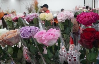 5月20日は愛を伝える日、昆明の生花市場で1日の取引量が750万本近くに―中国