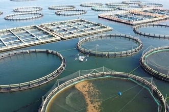 養殖を支えるドローン、活魚をより新鮮に届ける―中国