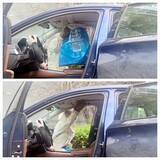 「運転手がほんの15分ほど離れた間に車内で数十匹のハチが巣作り―中国」の画像2