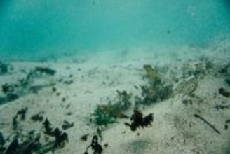 日本はもう「レアアースに困らない」のか？―中国メディア