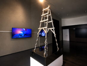 美術館の展示作品に疑問の声「普通のはしごでは？」―中国