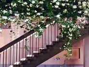 成都で3年、人生と世界観が変わった―オーストラリア人ジャーナリスト