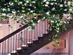 成都で3年、人生と世界観が変わった―オーストラリア人ジャーナリスト