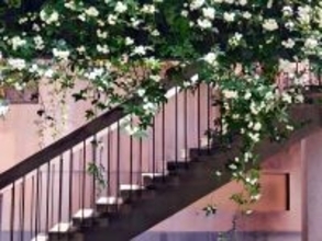 成都で3年、人生と世界観が変わった―オーストラリア人ジャーナリスト