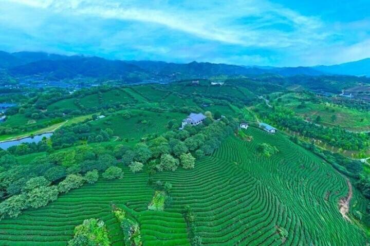 高山茶の有名な生産地となった福建省永福鎮―中国