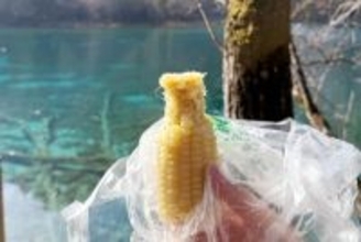世界遺産・九寨溝にトウモロコシを投げ入れる観光客「自然の物を自然に帰しただけ」―中国