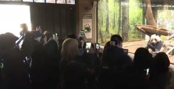 日本に貸与中のパンダが間もなく帰国、別れを惜しむファンが行列