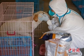 感染拡大続く上海に動物専用の臨時病院―中国