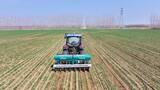 「AIが「処方箋」を作成、スマート農機が麦畑へ―中国」の画像2