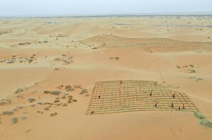 内モンゴル自治区のトングリ砂漠、「草方格」で砂漠化対策―中国
