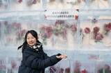 「「氷漬けのバラ」の景観、今年もハルビンに期間限定で登場―中国」の画像1