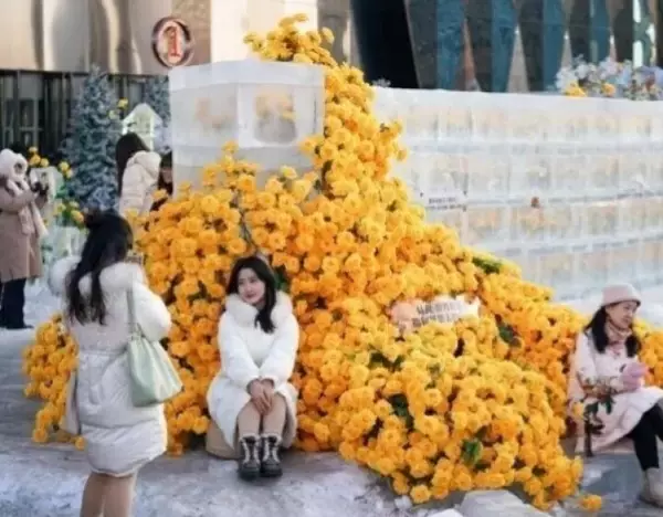 「「氷漬けのバラ」の景観、今年もハルビンに期間限定で登場―中国」の画像