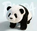 「パンダロボットはマジックラボのパクり？ユニツリーCMO「われわれの方が先」―中国メディア」の画像1