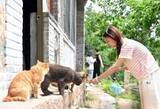 「村民はネコ200匹以上？河北省の山奥にある「ネコ村」―中国」の画像2