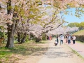 台湾人に人気の日本ツアー、原油高で料金が約10％上昇へ―台湾メディア